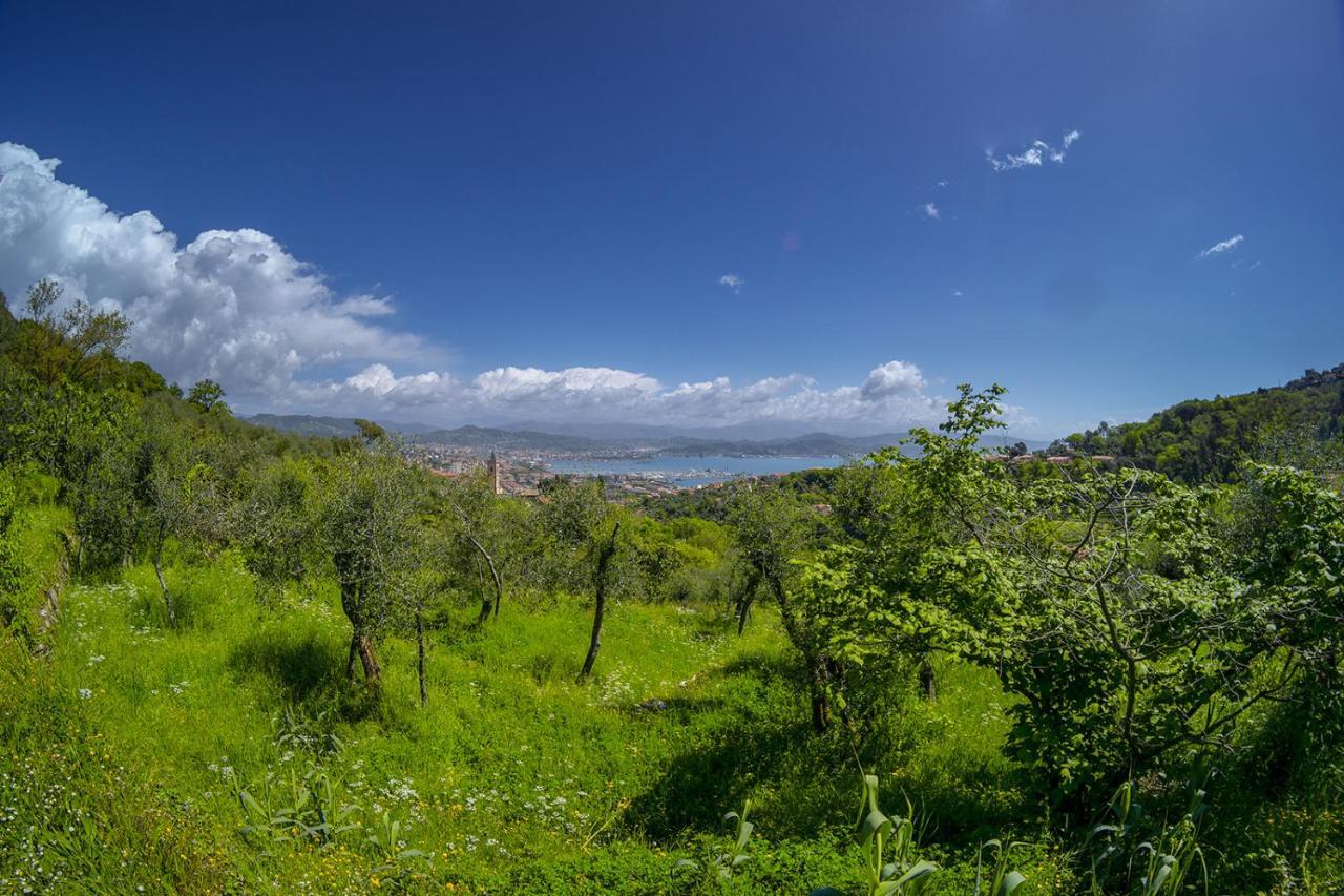 Gli Ulivi Sul Golfo E Le 5 Terre Apartment La Spezia Exterior photo